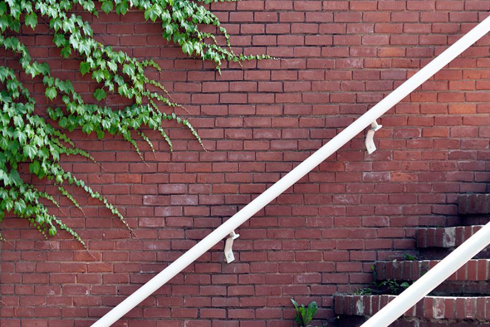 Brick Vine Free Photo Brick Vine Free Photo