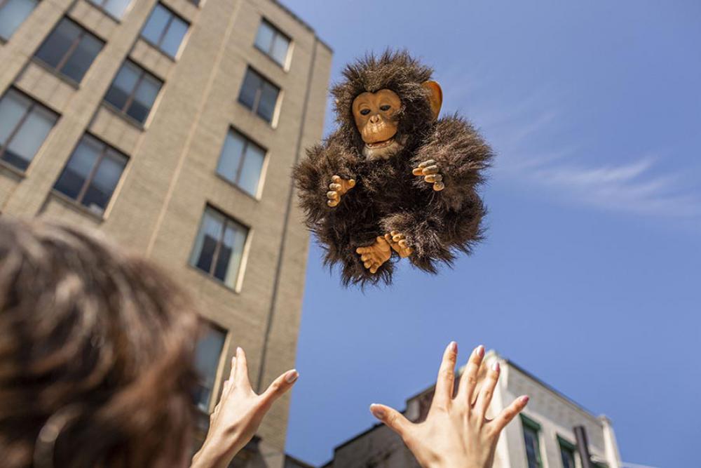 Flying Monkey Free Photo Flying Monkey Free Photo