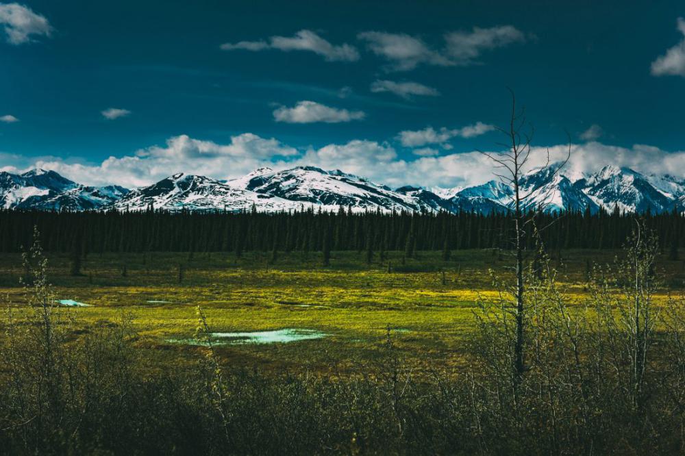 Alaskan Landscape Alaskan Landscape
