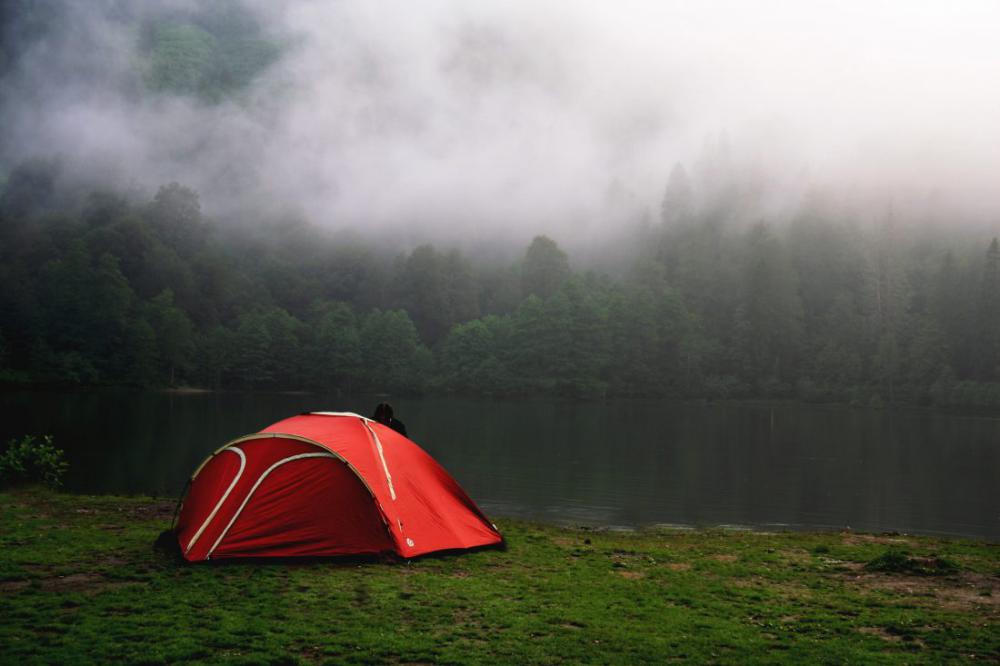Camping by Foggy Forest in Red Tent Camping by Foggy Forest in Red Tent