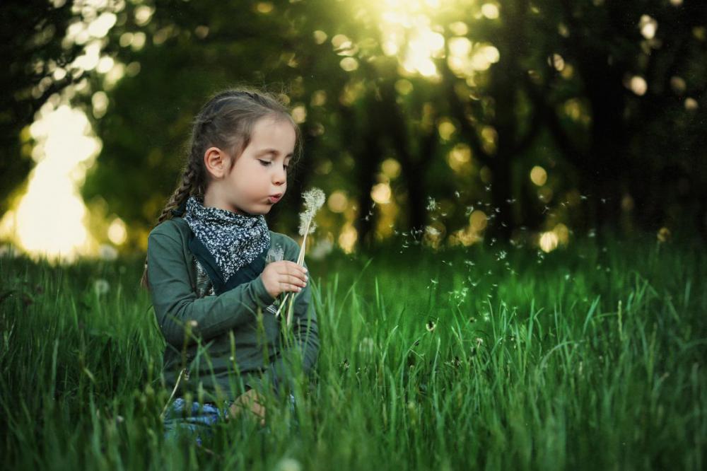 Child in Grass Child in Grass