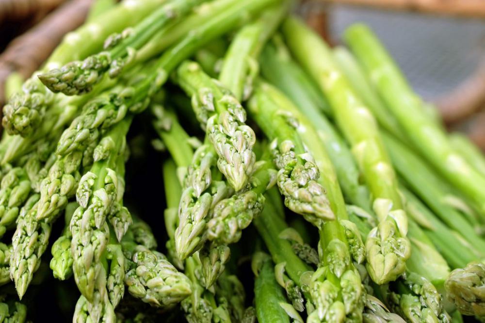 Green Asparagus Green Asparagus