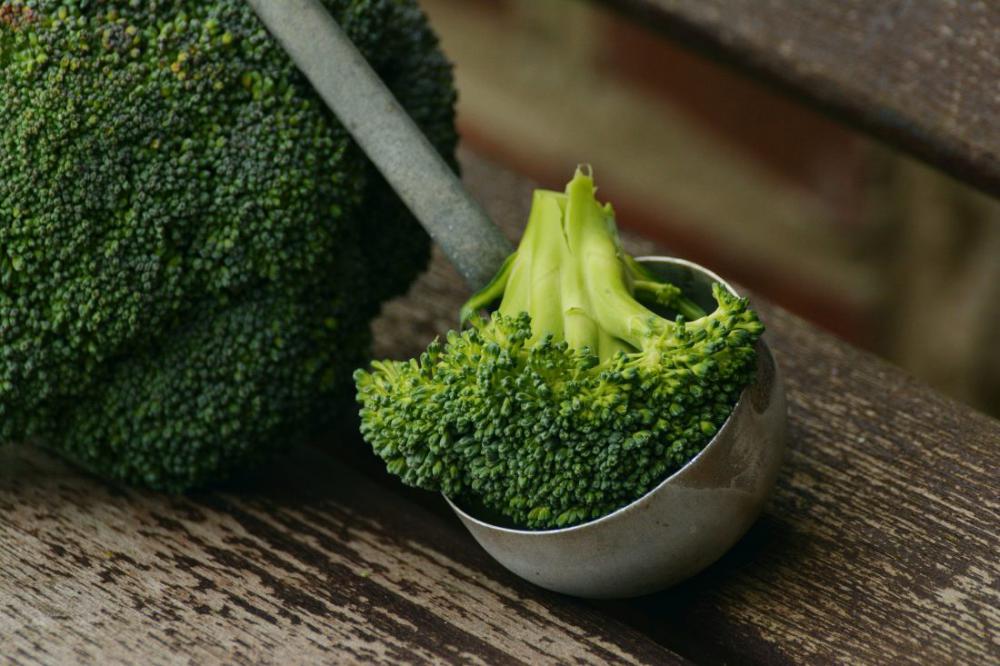 Broccoli Vegetables Broccoli Vegetables