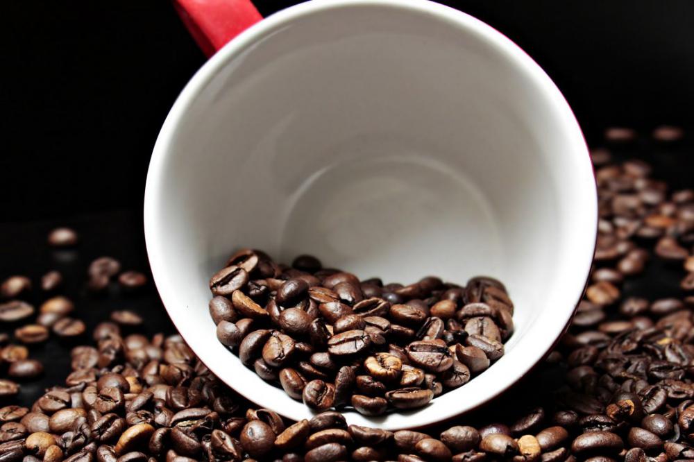Coffee Beans in Cup Coffee Beans in Cup