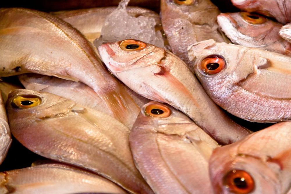 Raw Fish at Market Raw Fish at Market