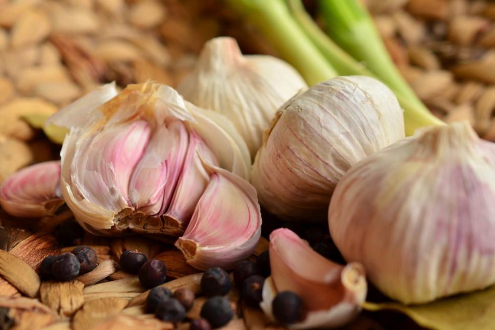 Garlic Herbs Garlic Herbs