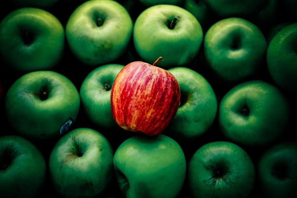 Green & Red Apples Green & Red Apples