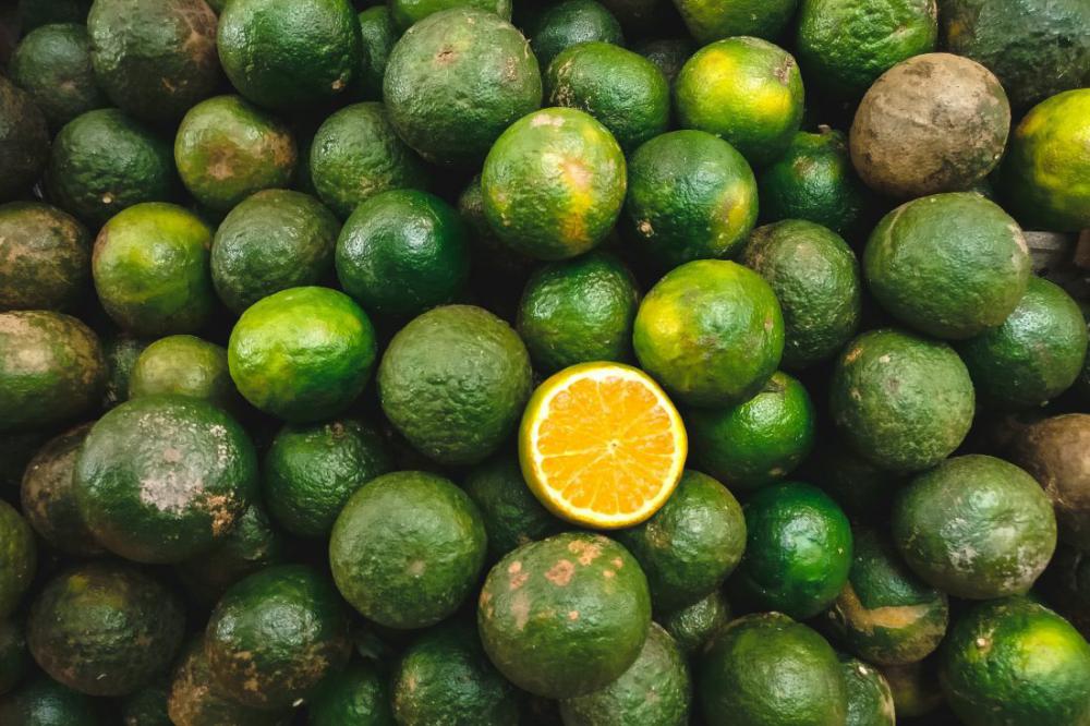 Limes Background Limes Background
