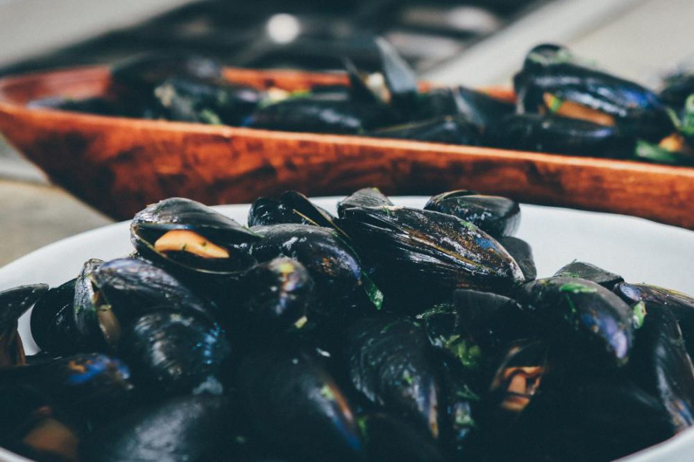 Mussels Seafood Mussels Seafood