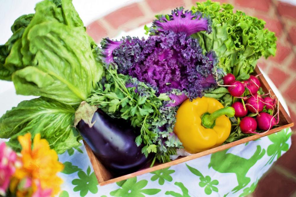 Organic Vegetables Organic Vegetables