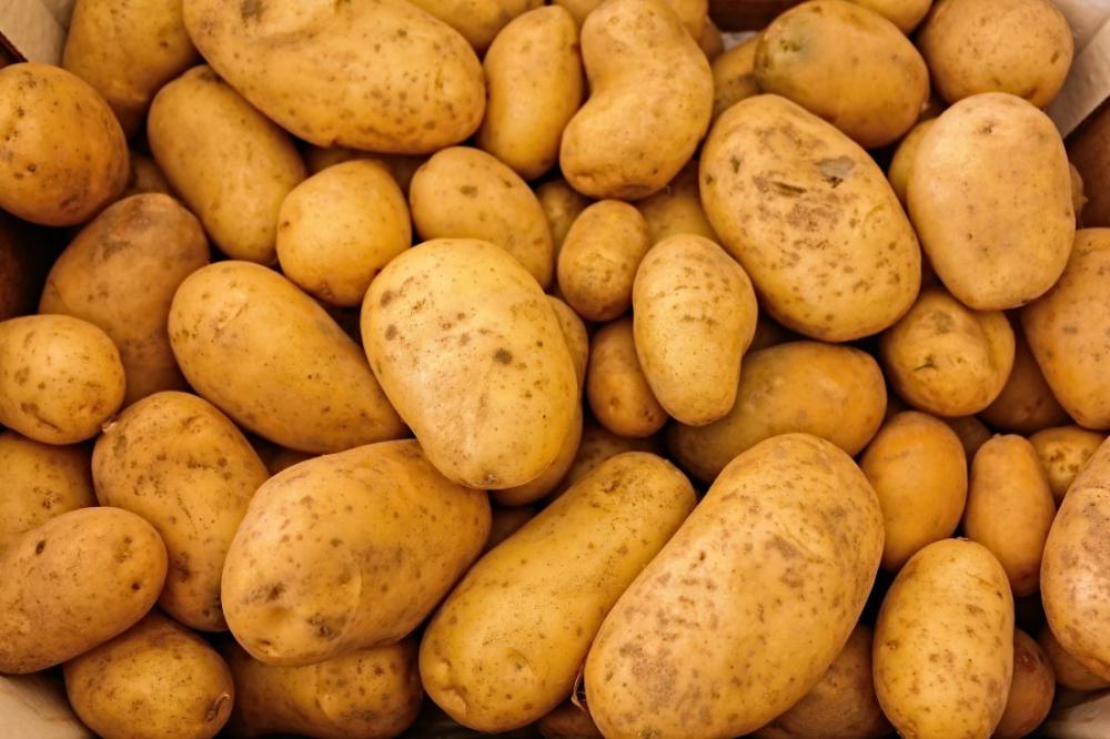 Fresh Potatoes Fresh Potatoes