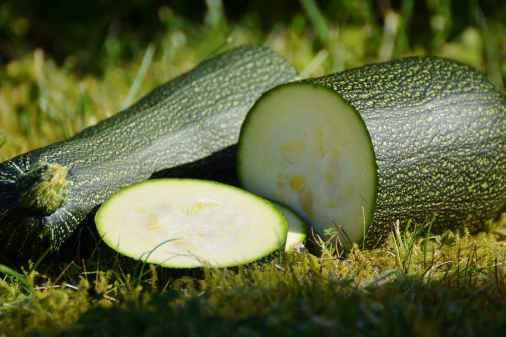 Zucchini Vegetables Zucchini Vegetables