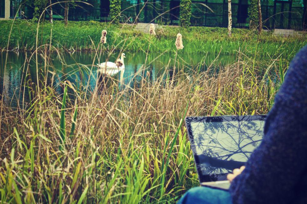 Man on Laptop Green Man on Laptop Green