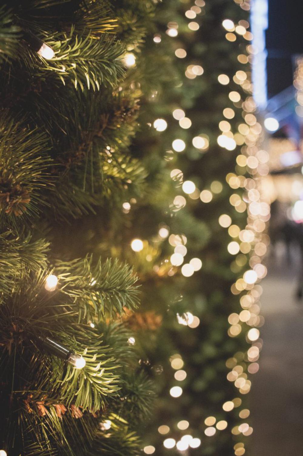 Christmas Lights Tree Bokeh Christmas Lights Tree Bokeh