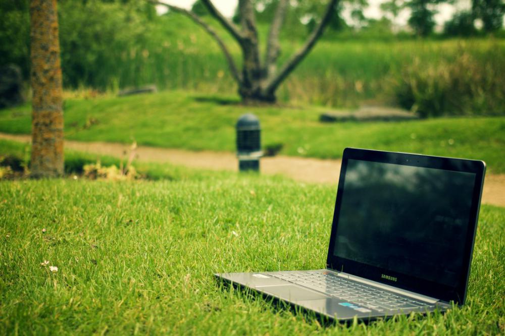 Laptop in Park Laptop in Park
