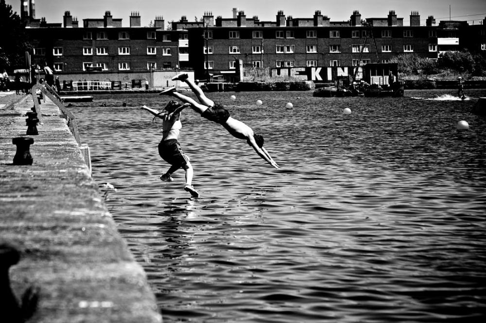 Dive into the Sea Dive into the Sea