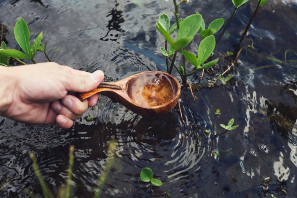 Wooden Spoon in Water Wooden Spoon in Water