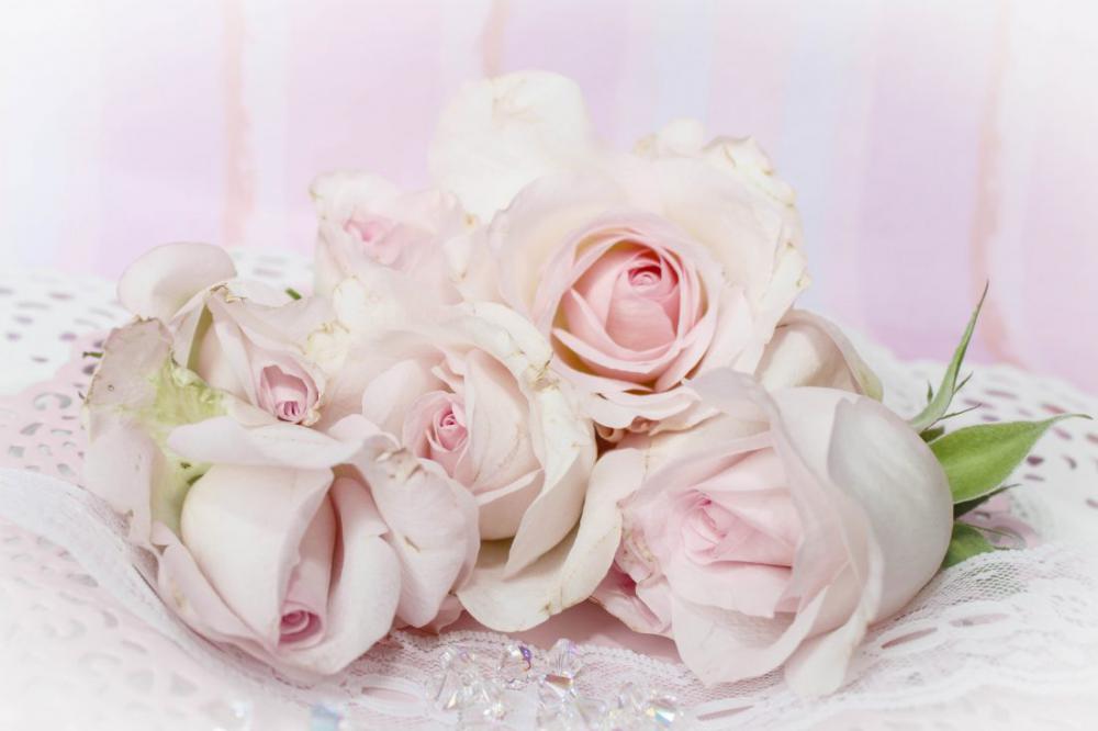 Wedding Roses Wedding Roses