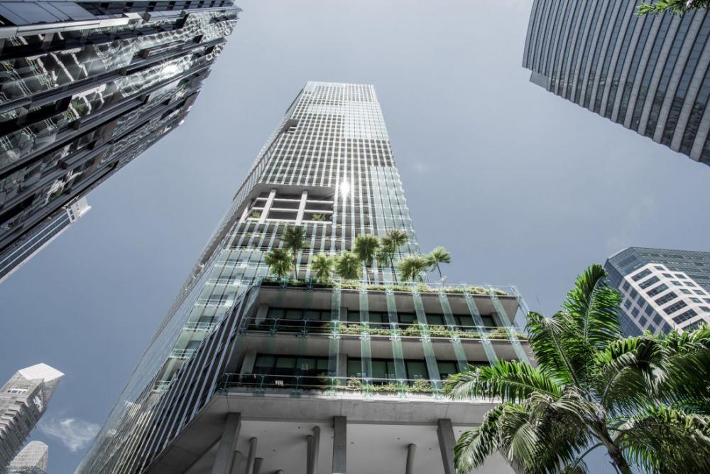 Skyscraper Garden Skyscraper Garden