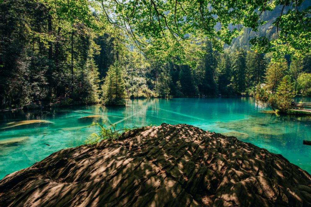 Beautiful Mountain Lake in the Summer Beautiful Mountain Lake in the Summer
