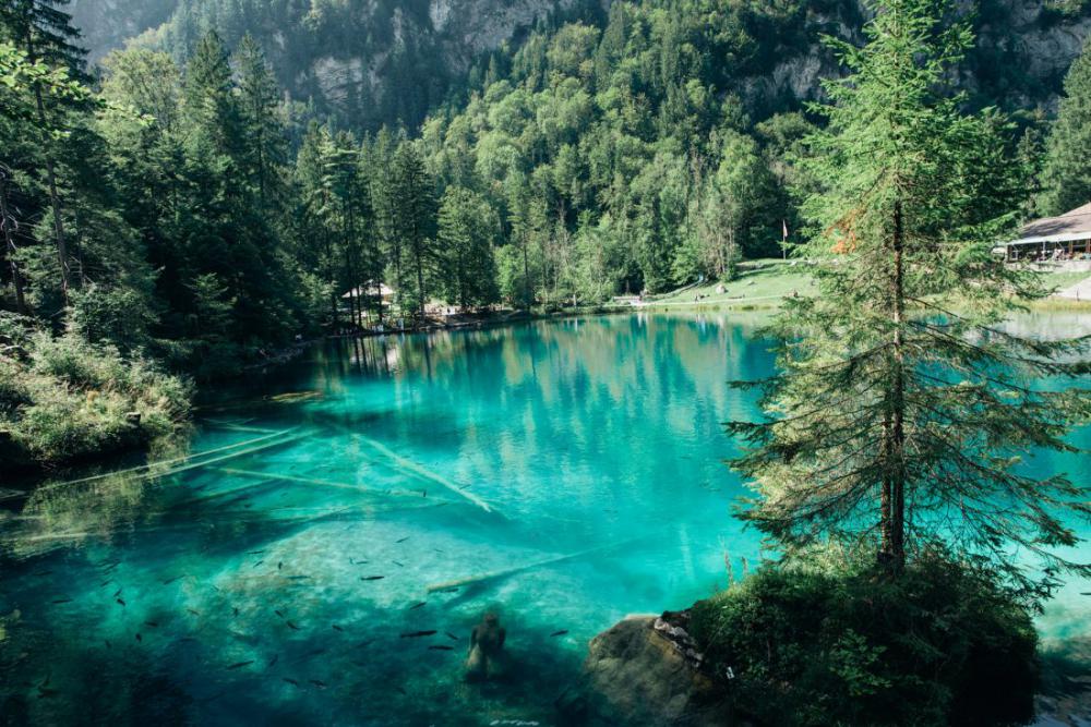 Beautiful Lake in Summer Beautiful Lake in Summer