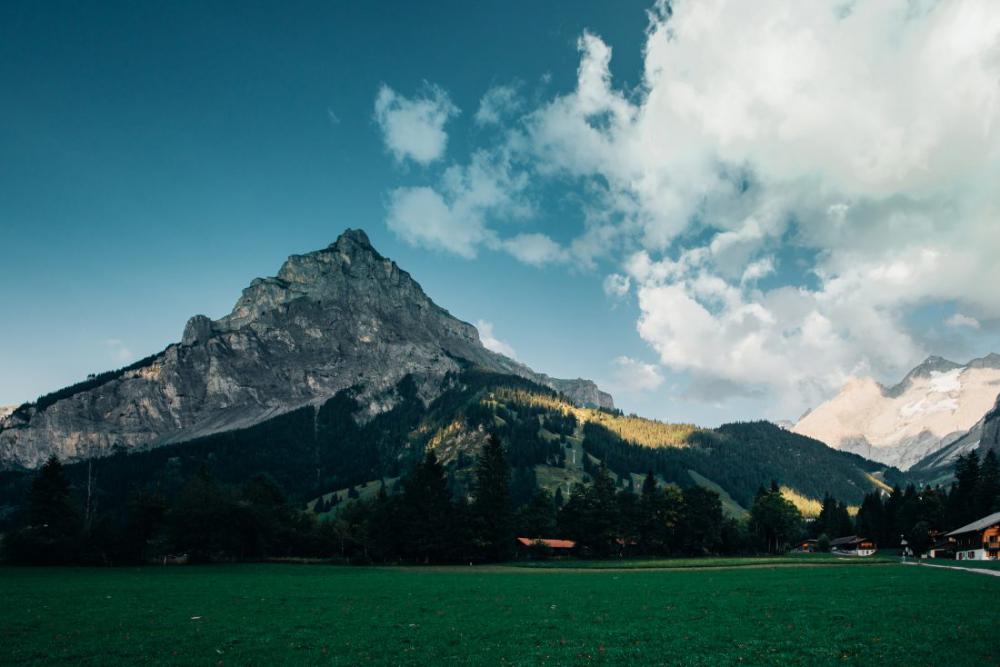 Mountain Peak & Green Grass Mountain Peak & Green Grass
