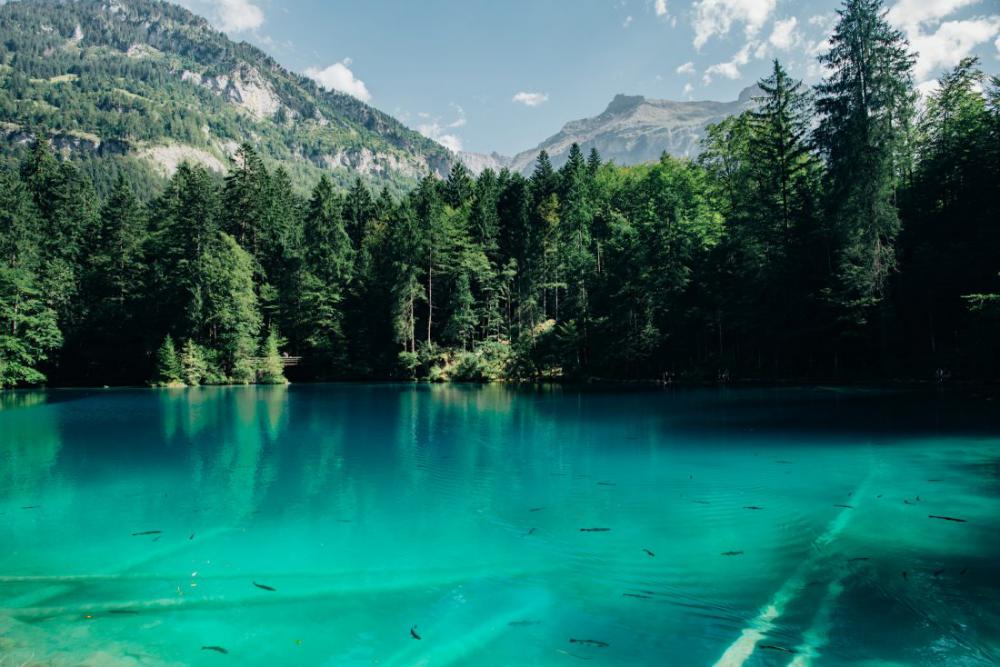 Mountain Lake Reflection Mountain Lake Reflection