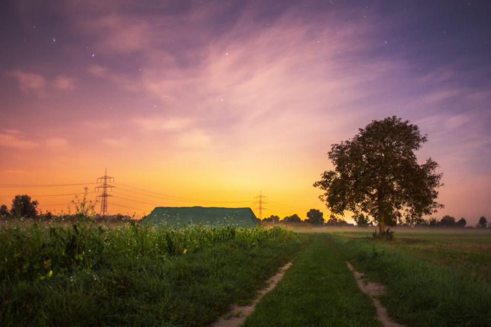 Summer Field at Sunset Summer Field at Sunset