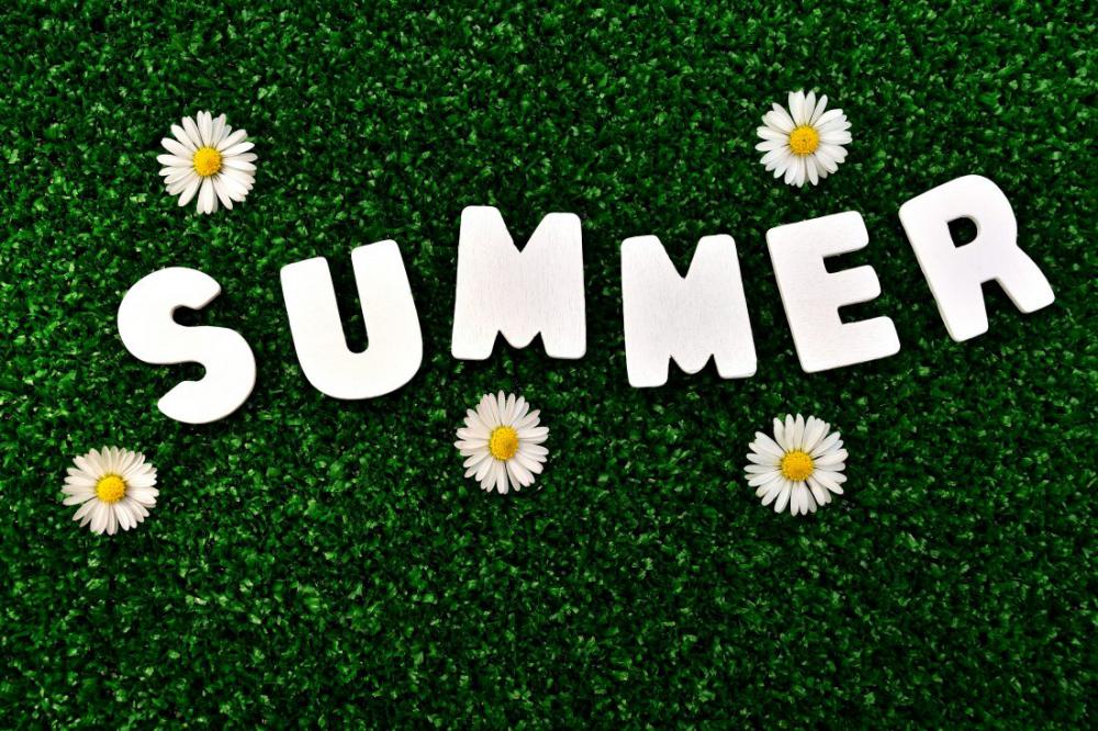 Summer Grass Summer Grass