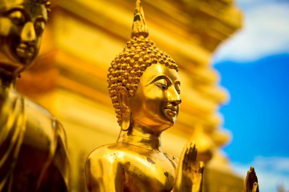 Praying Buddha Praying Buddha
