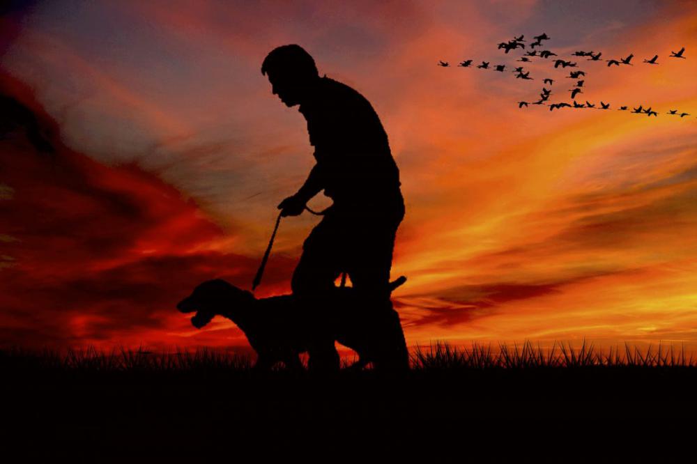 Man Walking Dog Man Walking Dog