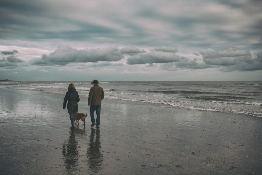 Walking the dog Walking the dog