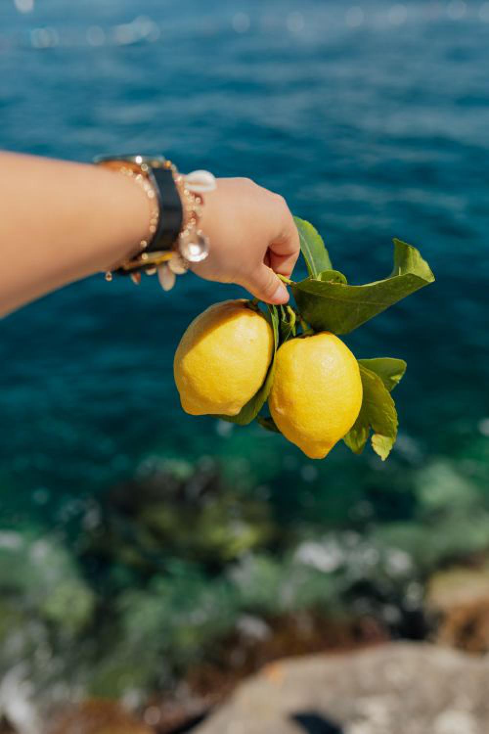 Lemons from Sorrento, Italy Lemons from Sorrento, Italy
