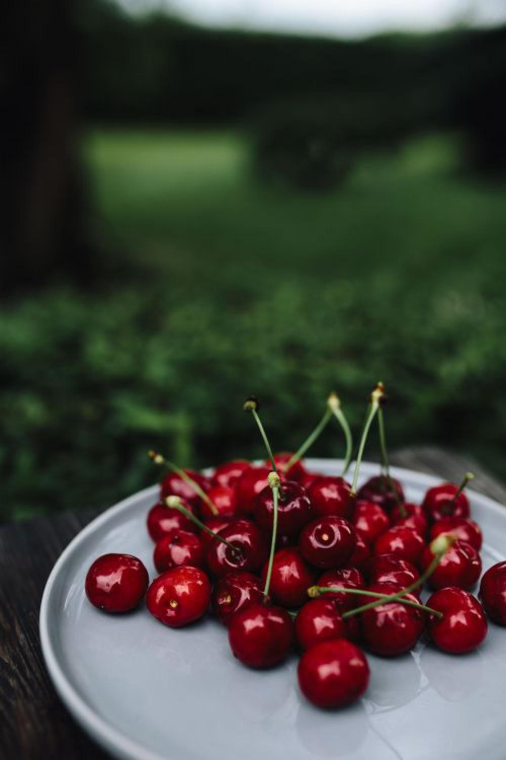Fresh Cherries on a simple plate Fresh Cherries on a simple plate