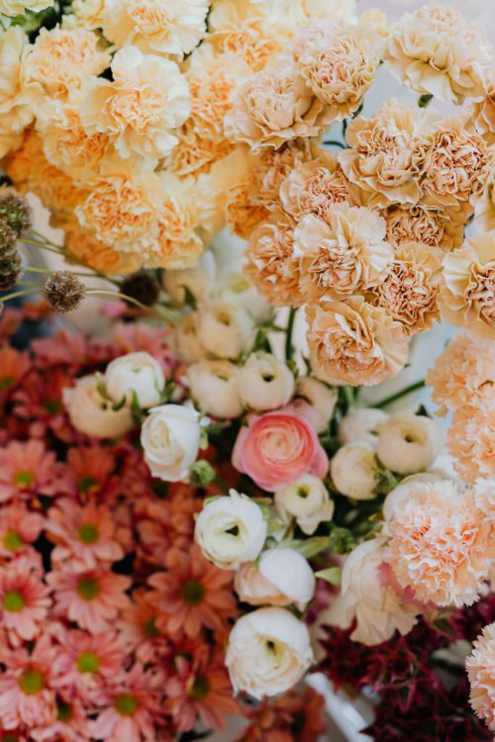 Flower backgrounds Flower backgrounds