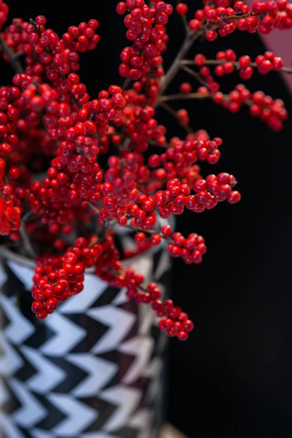 Red rowan in a black-and-white pot Red rowan in a black-and-white pot