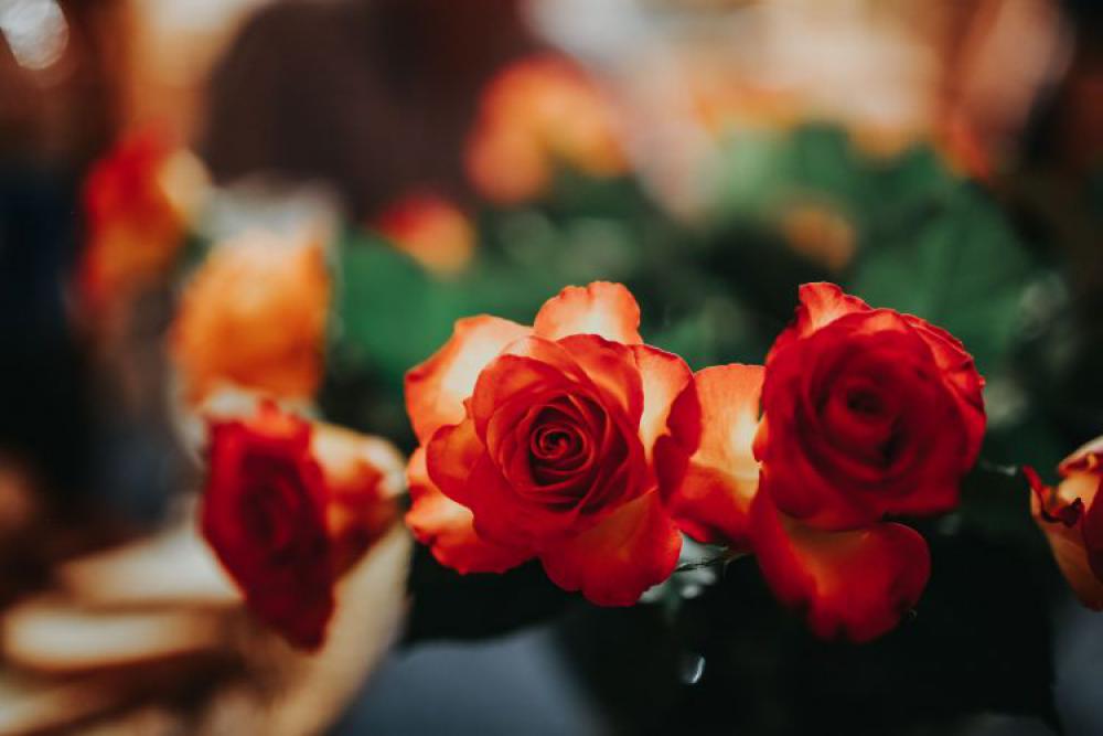 Flowers arranged in a beautiful bouquet Flowers arranged in a beautiful bouquet