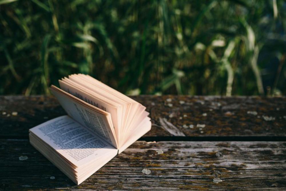 Reading book at lake Reading book at lake