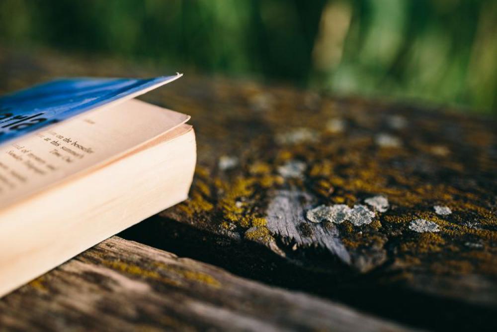 Reading book at lake Reading book at lake