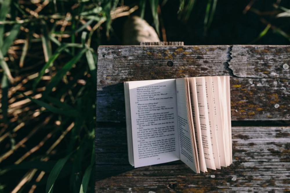 Reading book at lake Reading book at lake