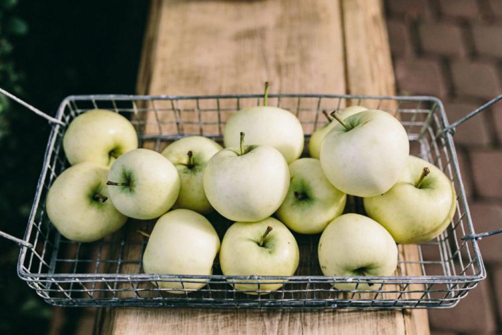 Healthy green apples in the basket Healthy green apples in the basket