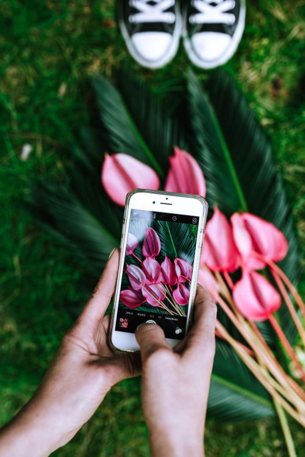 Colorful Exotic Flowers and Greenery Colorful Exotic Flowers and Greenery