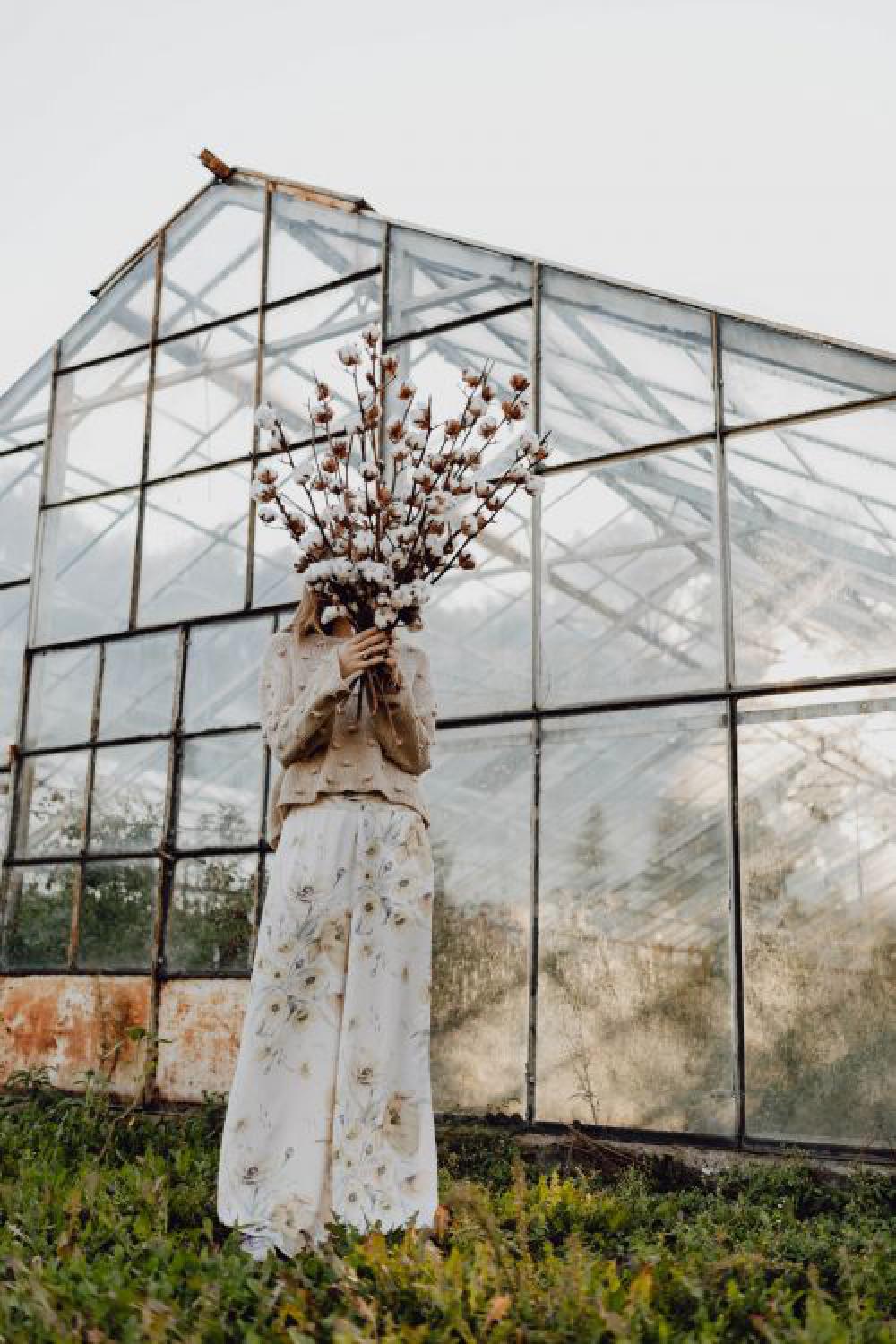 A beautiful tall woman holds cotton branches A beautiful tall woman holds cotton branches
