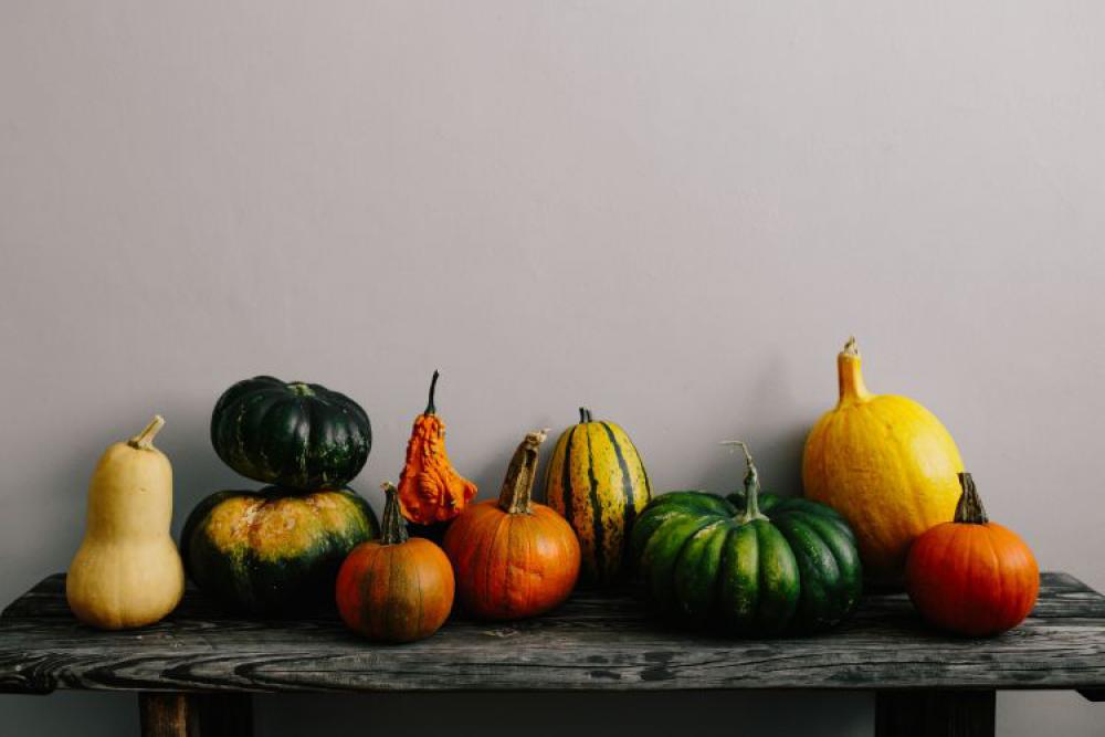 Variety of Pumpkins Variety of Pumpkins