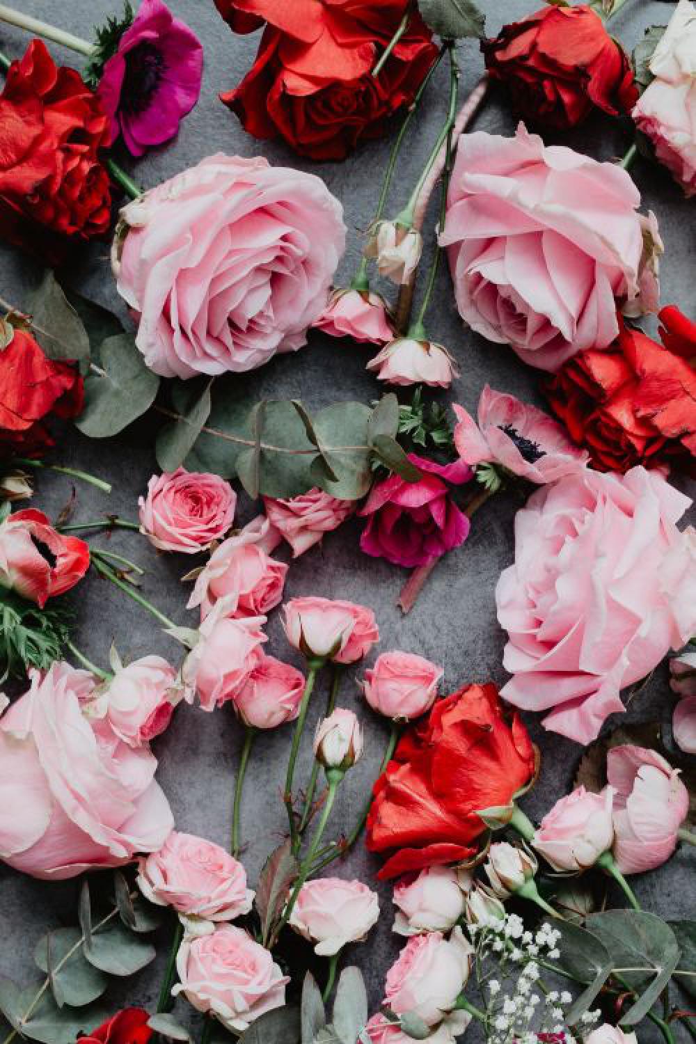 Composition of flowers Composition of flowers