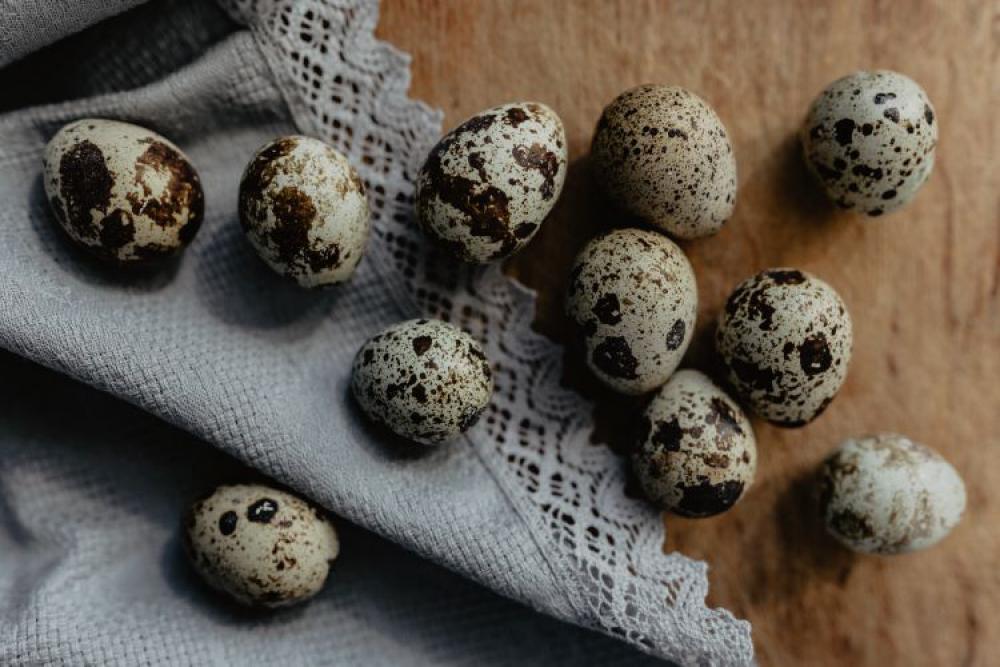 Quail eggs Quail eggs