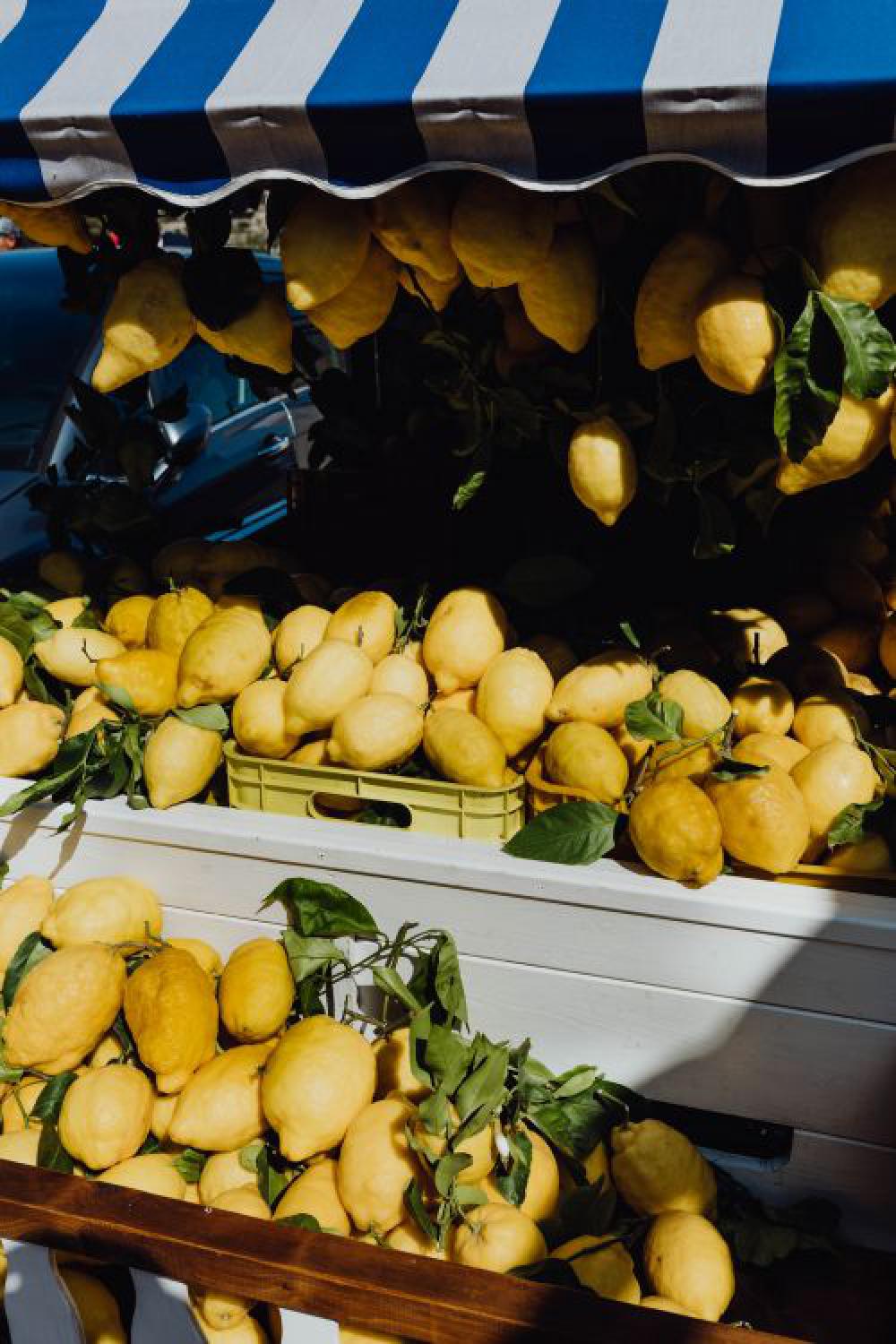 Lemons from Sorrento, Italy Lemons from Sorrento, Italy