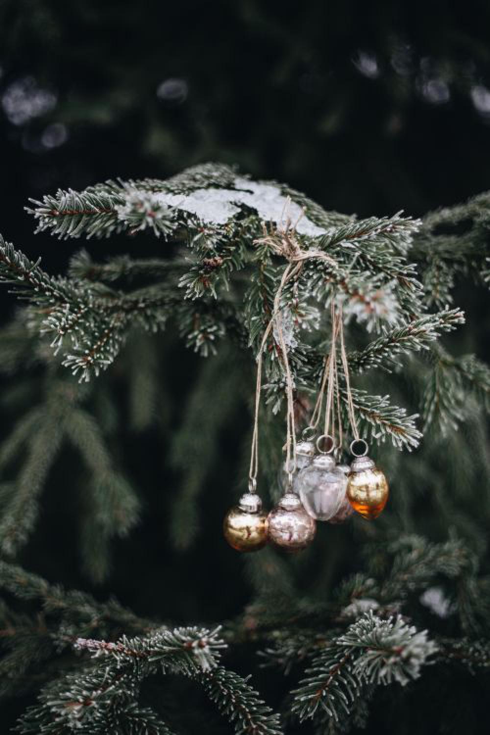 Chic holiday decor Chic holiday decor