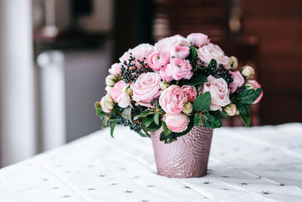 Pink roses in pot Pink roses in pot