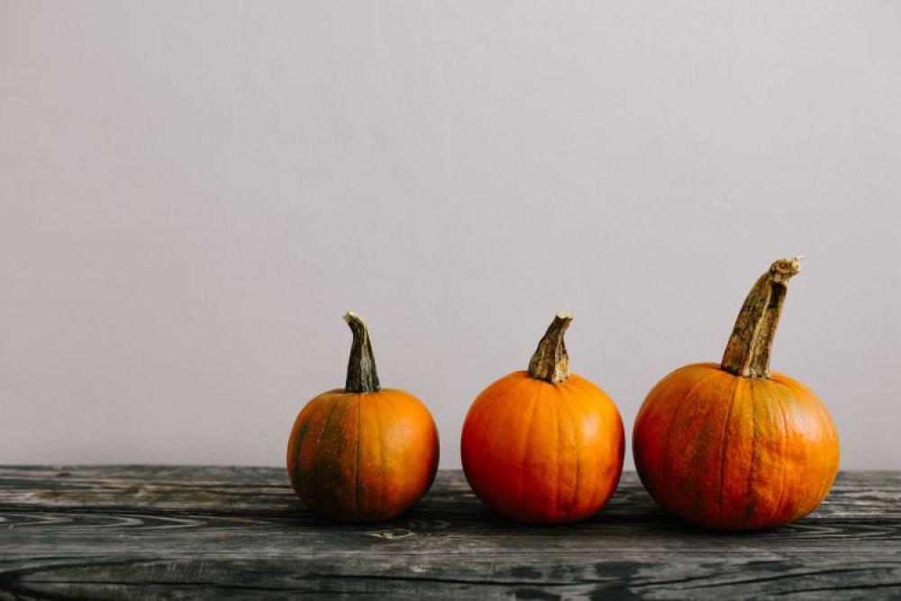 Variety of Pumpkins Variety of Pumpkins